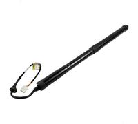 Car Boot Gas Struts Car Rear Trunk Liftgate Power Hatch Lift Support Opener Electric Tailgate Gas Struts Compatible With Toyota For RAV4 2019-2022 6891042060(Left)