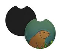 Car Coasters 2-Pack Whjssf Capybara In The Mirror Printing Durable Chloroprene Rubber, Waterproof, Quick Drying, Odorless Cup Holder Protectors