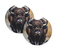 Car Coasters 2-Pack Yyhwhjde North American Bison Prints Durable Chloroprene Rubber, Waterproof, Quick Drying, Odorless Cup Holder Protectors
