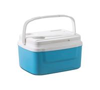 Car Cool Box 8 Litre Insulated Box with Up to 24 Hours Cooling 28 x 20 x 14 cm Thermal Box Warming Box Made of with Carry Handle Leak-Proof Outdoor Cool Bag for Camping, Barbecue, Picnic and