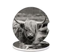 Car Cup Holder Coaster - Highland Cow Absorbent Ceramic Coaster, Car Coasters for Cup Holders, Auto Accessories for Women & Men, Pack of 2