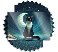 Car Decals Black Cat Under The Moonlit Sky Stickers 10Pcs Prank Stickers for Adults Mechanic Stickers(12X18CM)