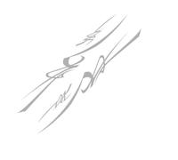 Car Decals Car Sticker Graphics Stripes Decor Decal