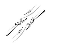 Car Decals Car Sticker Graphics Stripes Decor Decal
