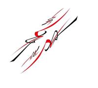 Car Decals Car Sticker Graphics Stripes Decor Decal