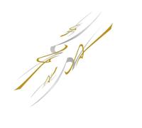 Car Decals Car Sticker Graphics Stripes Decor Decal