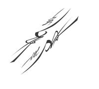 Car Decals Car Sticker Graphics Stripes Decor Decal