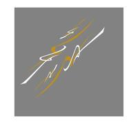 Car Decals Car Sticker Graphics Stripes Decor Decal