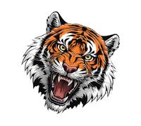 Car Decorative Sticker,Tiger Automotive Stickers Car Bumper Sticker | Creative Self-Adhesive Decal Anti-Scratch Auto Decorative Sticker for Vehicles Walls