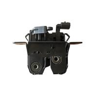 Car Door Lock for Dacia for Duster for Logan 2 2010 2011 2012 2013 2014 2015 2016 2017 Boot Lid Latch Tailgate Lock Catch 905037230R Side Door Lock