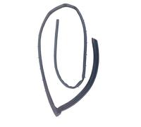 Car Door Lower Weatherstrip Sealing Seal Rubber Trim Strip with Buckle for VW for Tiguan MK2 L 2017 2018 2019 2020 WEFOLEN(Right)