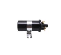 Car Engine Coil Dry Resin Ignition DLB110 DLB102 Easy Installation Casing Suitable for Classic Vehicles with Ballast, Black