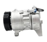 Car Engine Cooling Heating Compressors, A/C Compressor, For Cadillac, For SRX 3.0 3.6L 2010-2011 AC Air Conditioning Compressor 0605107900 1607 P13232310 P20934126 20934127 STRIVING BIRD