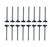 Car Engine Exhaust Valves Exhaust Control Valve 1set Intake&Exhaust Valve Kit Fit for 2016-2019 Hyundai Sonata Hybrid 2.0 G4NG Engine Car Accessories Parts