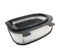 Car Engine Filter，Compatible For BMW，X3 X5 X6 F25 F15 E72 E71 E70 2.0-3.0L