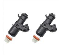 Car Engine Flow Match For Accord For Pilot For 3.0 3.5L 2003-2007-2011 2 Pc Fuel Injector Nozzle A48P-2X 16450-RZP-003