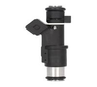 Car Engine Fuel Injector Nozzle for P&eugeot 206 406 607 806 807 307CC 206CC 2.0L 1999-2007 4 Holes Metal Fuel Spray Injector Nozzle 4 Pcs 1984E2(1PC)