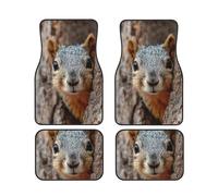 Car Floor Mats 4 Piece Universal Automotive Floor Mats Squirrel Hiding Behind Tree Car Mat Set Non-Slip Foot Pad for Cars Heavy-Duty Rubber Car Carpet Decor Heel Pad for most vehicles