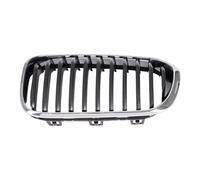 Car Front Grille For BMW F20 LCI Front Decorative Grille 51137371747 51137371748 Front Grill Grille(Left 51137371747)