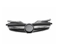 Car Front Radiator Grilles Car Front Bumper & Radiator Grille For Benz SLK R170 For Amg 1998-2004, ABS Racing Grill