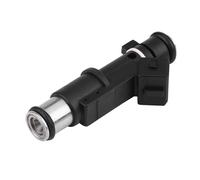 Car Fuel Injector Nozzle For Peugeot 206 307 406 407 607 806 807 Expert 2.0 Fuel Spray Injector Nozzle 01F003A 01F003A Oil Petrol