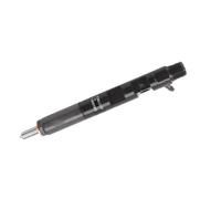 Car Fuel Injector Replacement Parts For Delphi For Nissan For Dacia For Suzuki 1.5 Dci K9K 166001137R 28232251 Diesel Fuel Injector EJBR03101D(With code)