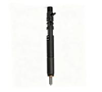 Car Fuel Injector Replacement Parts Fuel Injector EJBR03301D | EJBR03701D EJBR05301D EJBR02801D EJBR02901D EJBR06101D Common Rail Diesel Injector For Delphi(EJBR06101D)