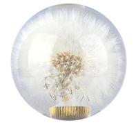 Car Gear Shift Knob Car Transmission Gear Lever Car Interior Modification Dandelion Handball Gear Lever Real Dandelion Ball Gear Knob