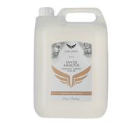 Car Gods Invisi Armour Ceramic Fabric Sealer Upholstery Waterproof Sealer 5L