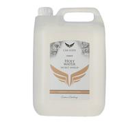 Car Gods Paint Detailing Sealant Cronus Holy Water Secret Shield Spray 5 Litres