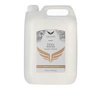 CAR GODS GOD581 Paint Cleaner
