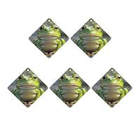 Car Hanging Air Fresheners 5 PCS Cute Frog Print Car Aromatherapy Tablets Air Freshener Fragrance Scented Cards For Home & Cars