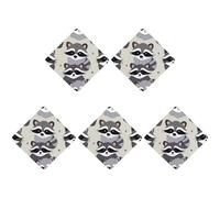 Car Hanging Air Fresheners 5 PCS Cute Raccoon Print Car Aromatherapy Tablets Air Freshener Fragrance Scented Cards For Home & Cars