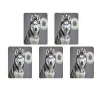 Car Hanging Air Fresheners 5 PCS Husky Dog Print Car Aromatherapy Tablets Air Freshener Fragrance Scented Cards For Home & Cars