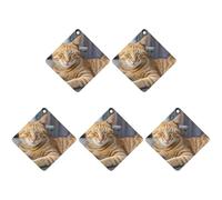 Car Hanging Air Fresheners 5 PCS Orange Cat Sleeping Print Car Aromatherapy Tablets Air Freshener Fragrance Scented Cards For Home & Cars