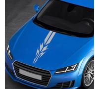 Car Hood Stripe Sticker, Cool Stripe Totem Decal for Cars SUVs and Off-Road Vehicles Modification (Gray)