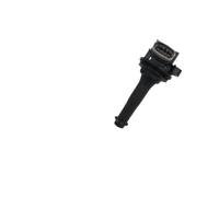 Car Ignition Coil 0221604010 UF517 86778370 30713417