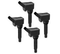 Car Ignition Coil 04e905110c Ignition Coil for VW for Passat Parts