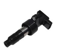 Car Ignition Coil Pack Compatible With Jaguar For S-TYPE II X200 2.5 V6 2002 2003 2004 2005 2006 2007 Car Ignition Coil OEM: 6R8312A366BA