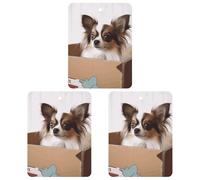 Car Mirror Hanging Air Freshener Exquisite Papillon in The Box Printed Car Aromatherapy Sheet Car Aromatherapy Tablets Scented Car Perfume Air Freshener