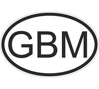 Car Motorbike Isle of Man Flag Country Code Oval Sticker GBM