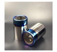 Car Muffler Tip For BMW E90 E91 E92 E93 325 2006-2010 F30 F35 118d 320i 320 316i 328i 2012-2018 Car Exhaust Rear Muffler Pipes Tail Pipe(Blue 2piece)