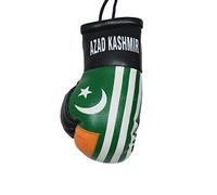 Car Office Boxing Gloves Hanging Decoration Leather Mini Glove Country Flags for Azad Kashmir
