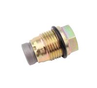 Car Petrol Injection Nozzles Common Rail Pressure Relief Valve 1110010013 1110010014 1110010015 1110010017 1110010018 1110010019 1110010022(1110010013)