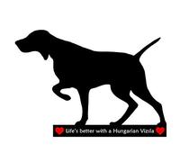 Car-Pets Magnets Hungarian Vizsla Lovers Novelty Gift - Large Flexible Dry Wipe Fridge Magnet with Magnetic marker pen.
