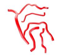 Car Radiator Coolant Hose Compatible with Clio 172/182 RS for Cup for Trophy 2.0 F4R 1998 1999 2000 2001 2002 2003 2004 2005 Silicone Radiator Coolant Hose Pipe Tube Kit(Red)