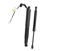 Car Rear Tailgate Gas Struts Electric 1551488-99-B 1551488-00-C 1551488-98-B For Tesla For Model 3 2021-2023 2pcs Rear Left Right Electric Liftgate Strut