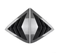 Car Rear Window Louvers Shutters Blinds Cover Trim For Ford Fiesta MK7 MK7.5 2008-2017, Black, Carbon Fiber