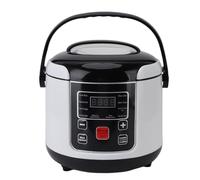 Car Rice Cooker, 2L 12V Travel Cooker with Steam Basket, Auto Keep Warm and 24-Hour Timer for Vehicles