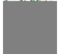Car Scents Air Freshener, Plant-Based Paper Card, Christmas Tree Shape, Colorful Long-Lasting Car Smell Freshener, Small Interior Ornament for Cars Home Studio Restaurant Decor